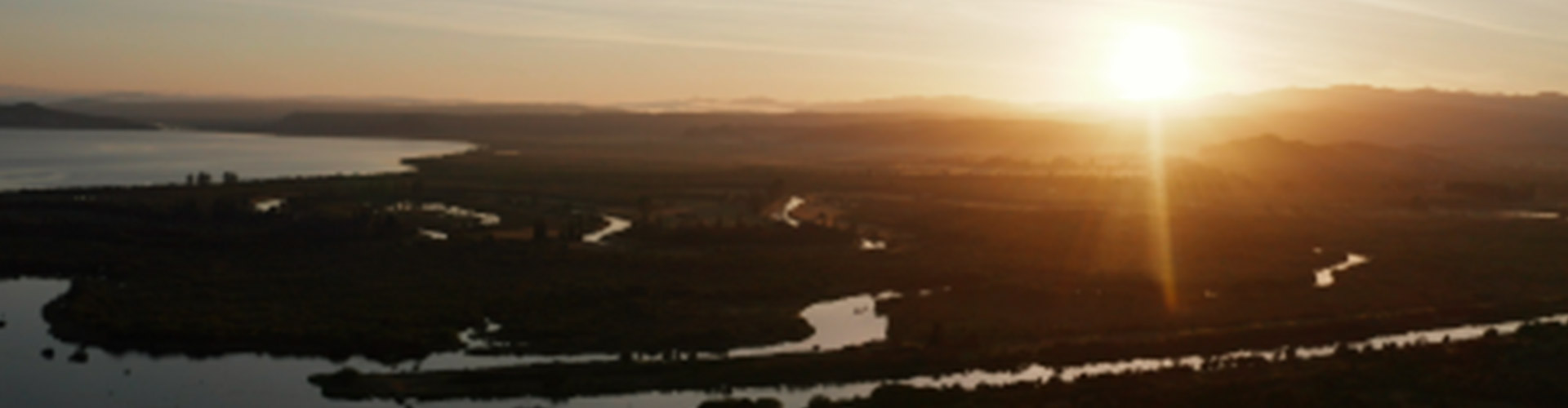 The Turangi Real Estate Market Report